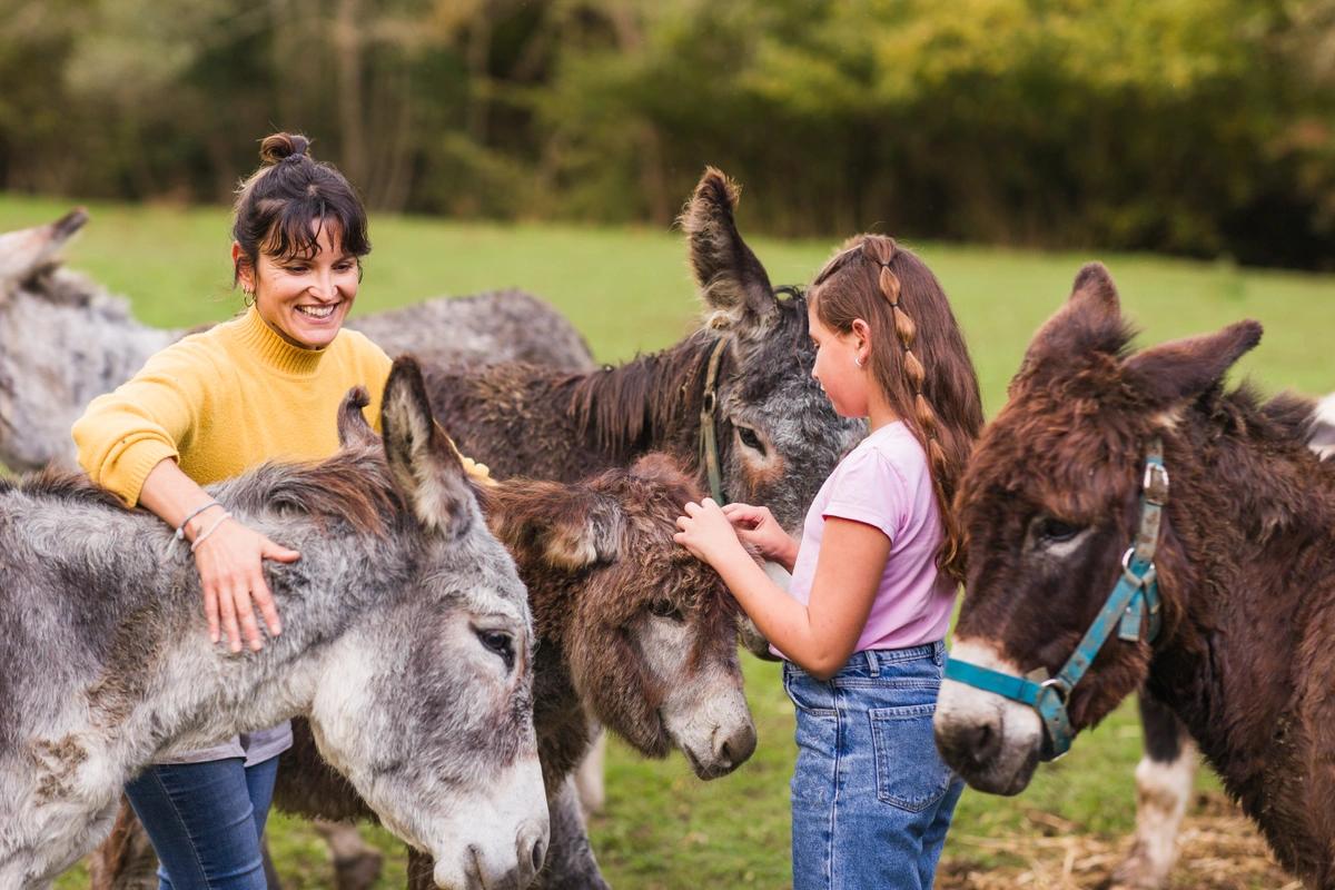 Visitors at a donkey sanctuary