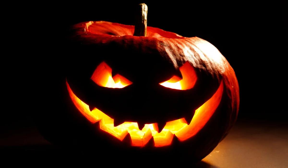 Save money at Halloween with a pumpkin soup