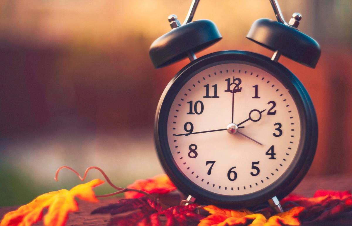 An alarm clock standing on fallen autumn leaves