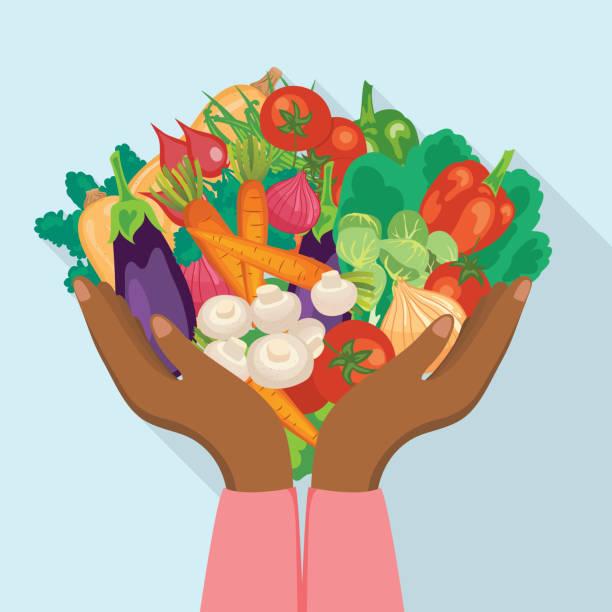 Illustrated image of food. Household Support Fund free school holiday vouchers