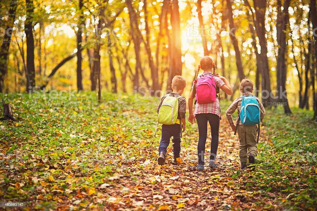 children walking though a national park