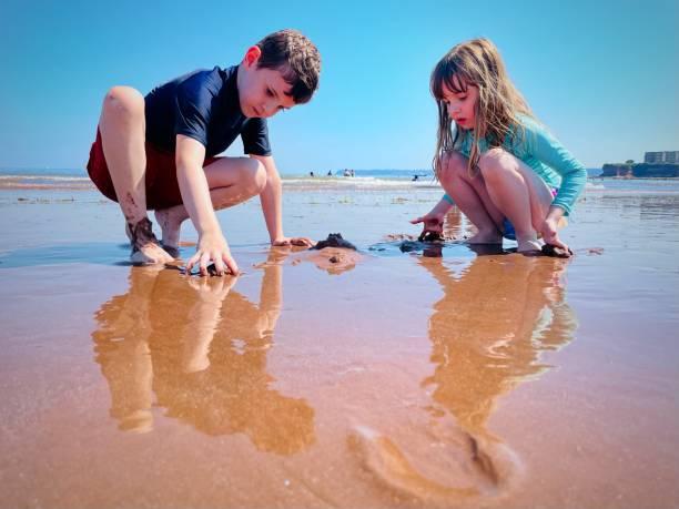 image of children in swimwear playing on a beach