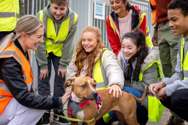 Image of teenager volunteering at an animal sanctuary. 6 free things to do with tweens and teens over the Easter holidays (that aren’t just for little kids). Free things to do with teenagers