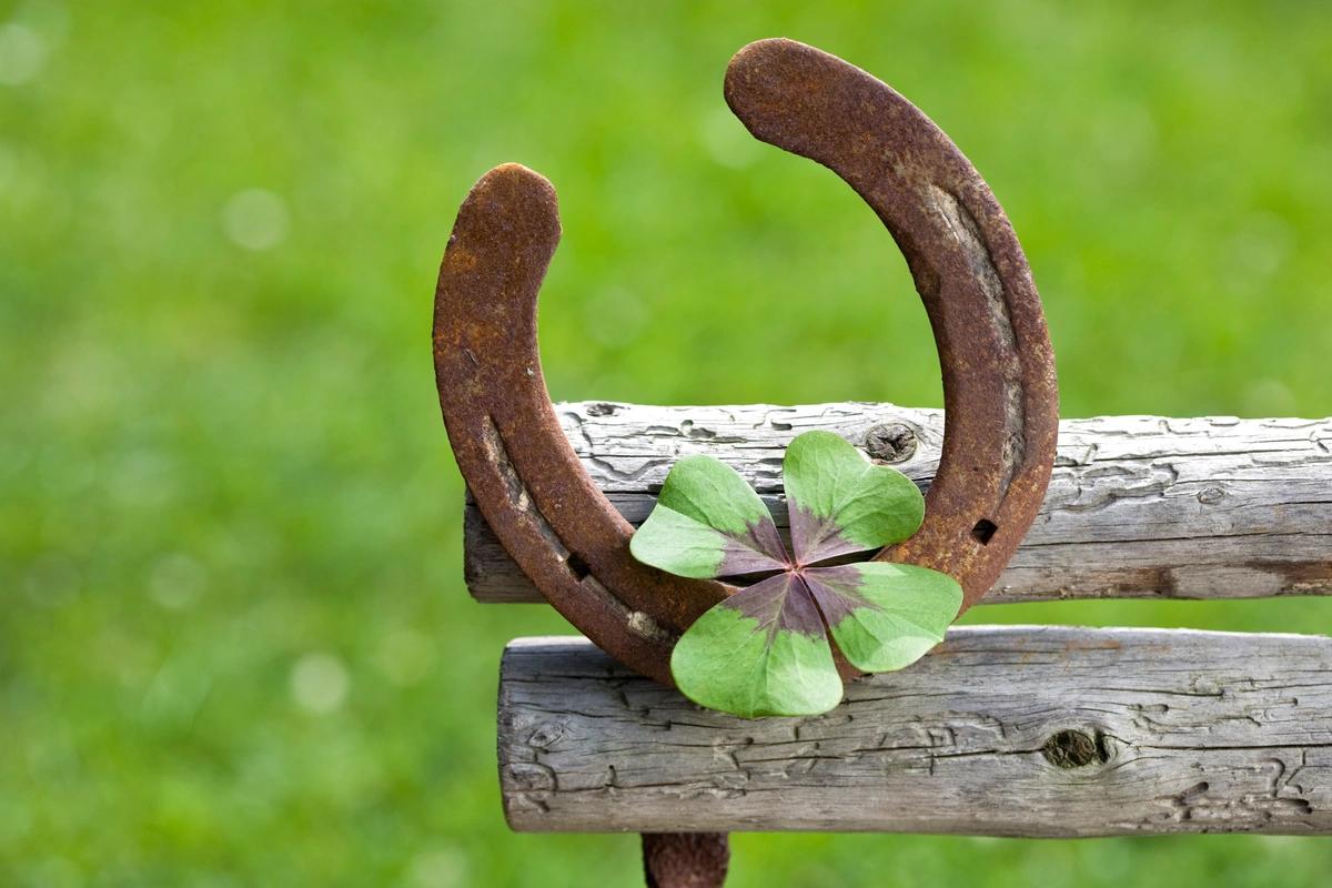 A horse shoe and a four-leaf clover