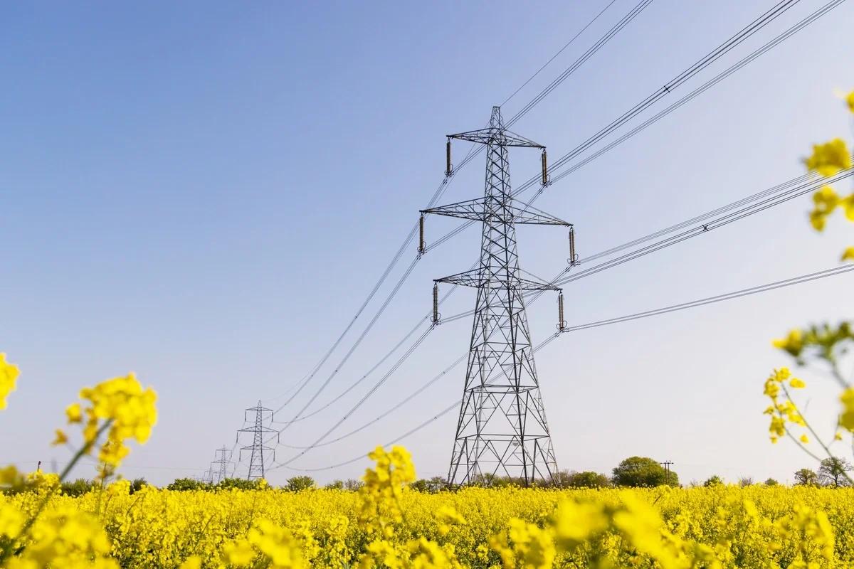 Households near new pylons to save thousands on electricity bills
