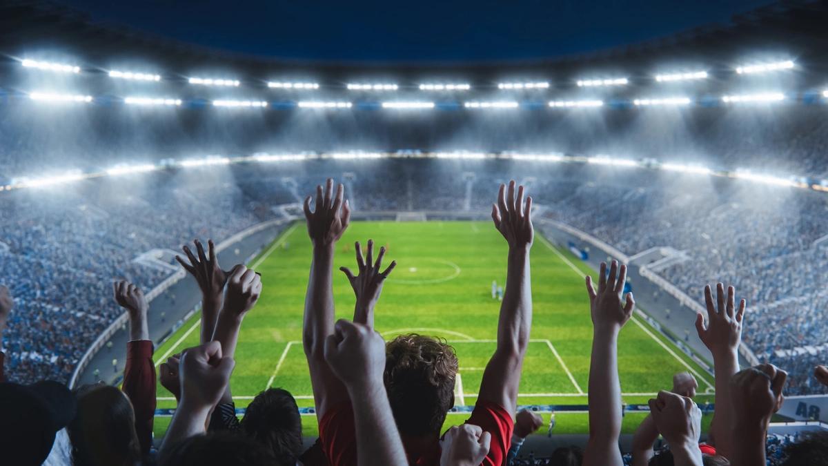 Fans in a football stadium celebrating a goal