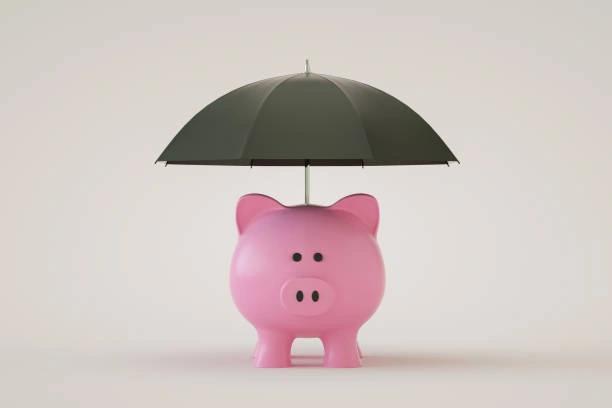 Image of a pink piggy bank with a black umbrella over it